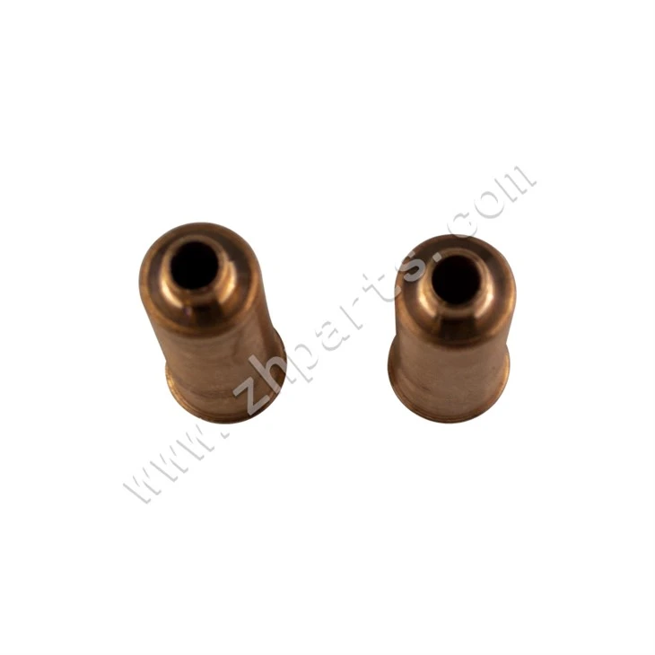 Auto Parts FOTON INJECTOR CHAMBER-LL480QB BJ1010
